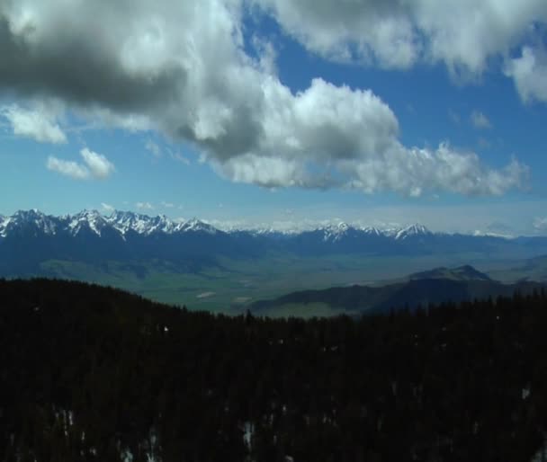 Moln över tallarna i paradise valley montana — Stockvideo