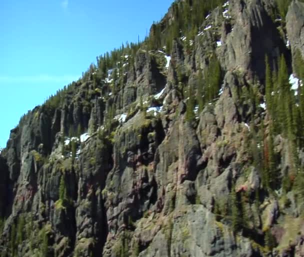 Volto roccioso di montagna, pineta — Video Stock