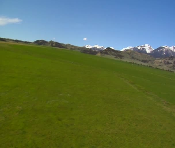 Veld en sneeuw bergen — Stockvideo