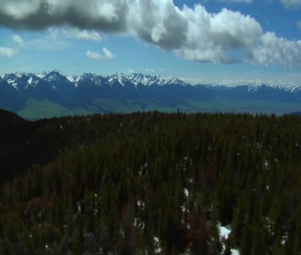 松树在天堂谷蒙大拿州上空的云 — 图库视频影像