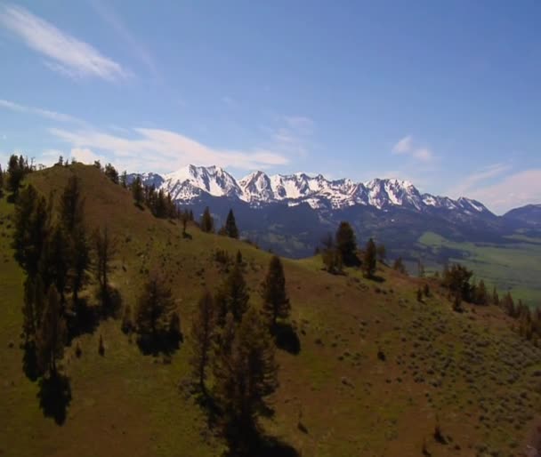 Paradise Valley Montana, сосны на травянистых горах — стоковое видео