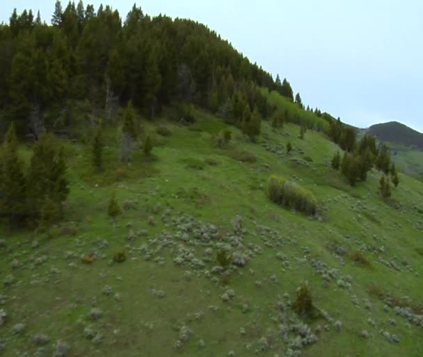Verdeggiante valle di montagna verde — Video Stock