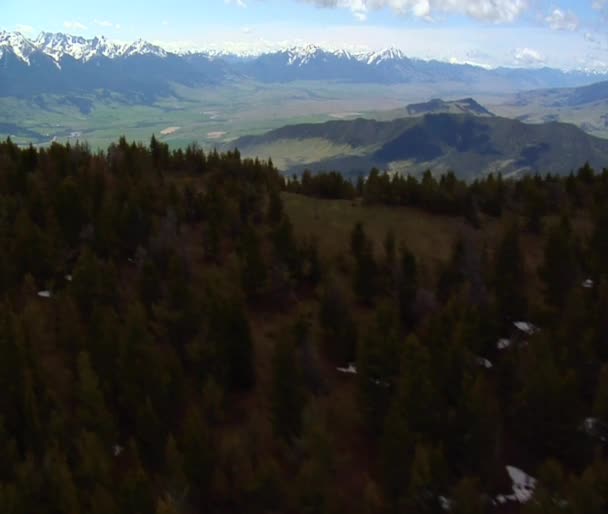 Pinos y vista en montana Valle Paraíso — Stok video