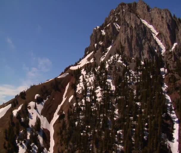 Montañas nevadas y bosques de pinos — Vídeo de stock