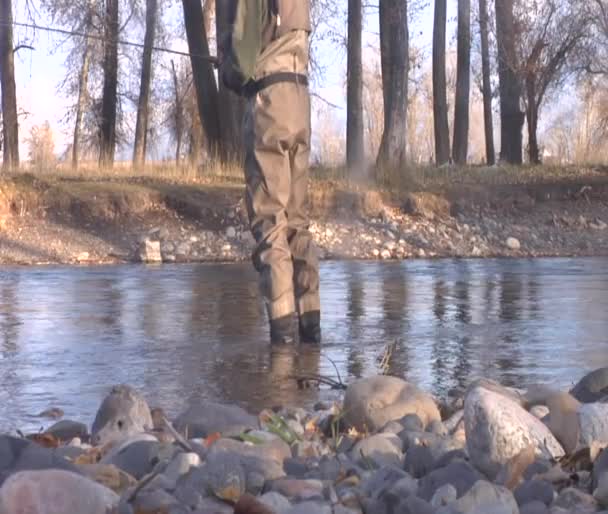 Fisherman standing in water — Stock Video