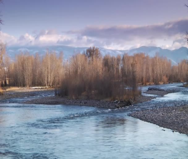 Río n invierno — Vídeos de Stock