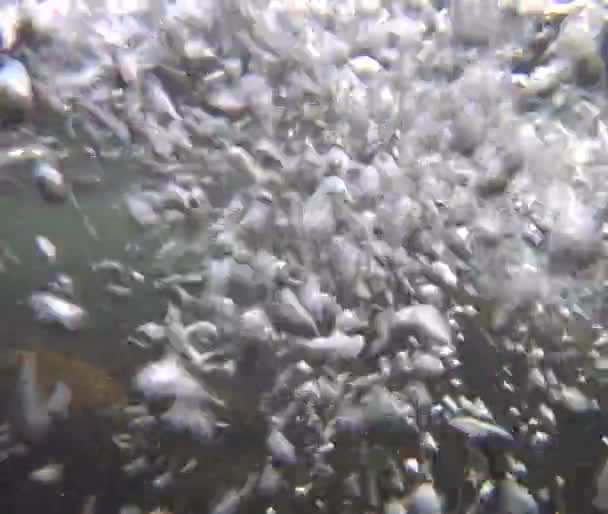河和泡沫 — 图库视频影像