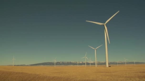 Turbinas eólicas en campos — Vídeo de stock
