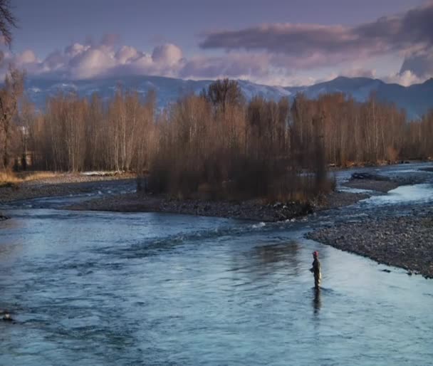 Homme pêche à la mouche dans la rivière — Video