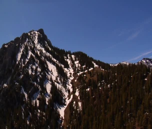 Снежные горы и сосновые леса — стоковое видео