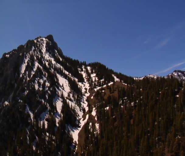 Montagnes enneigées et forêts de pins 