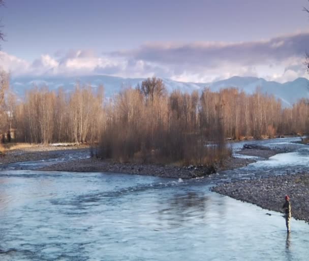 Homme pêche à la mouche dans la rivière — Video