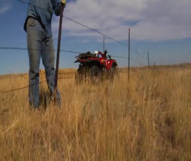 Cowboy pounds fencepost — Stockvideo