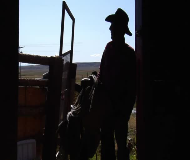 Silhouette de cow-boy comme il soulève la selle — Video