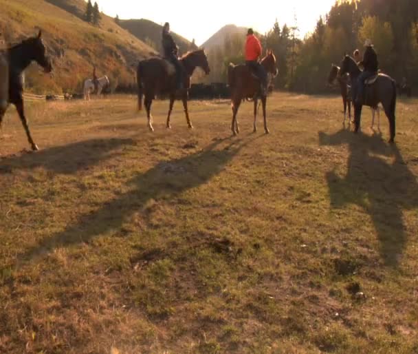 Vaqueros se reúnen en Dawn Meadow — Vídeos de Stock