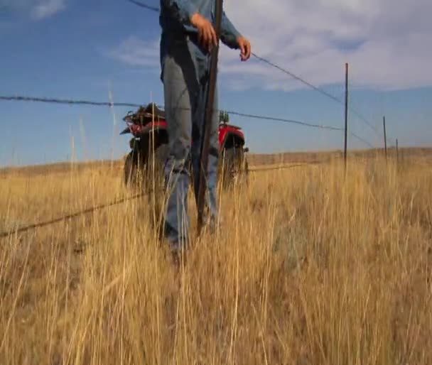 Cowboy stands at fence — Stock Video