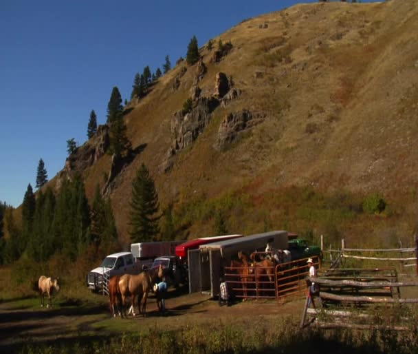 Pferdeanhänger und Pferde am Berghang — Stockvideo