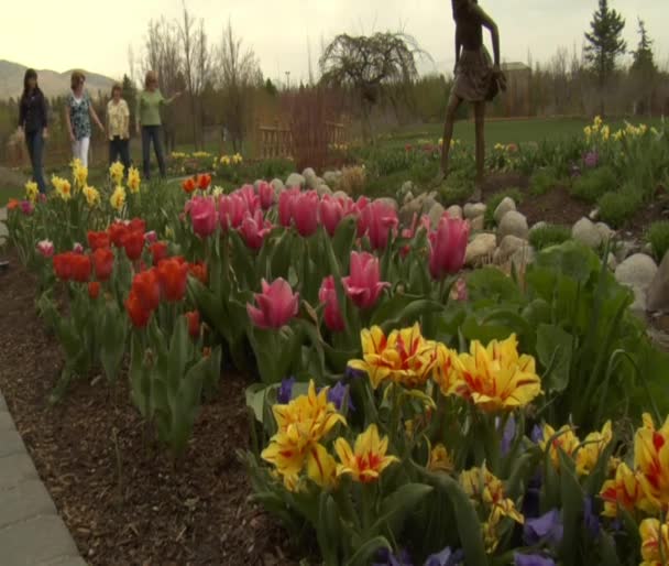 Damen bewundern Tulpen im Park — Stockvideo