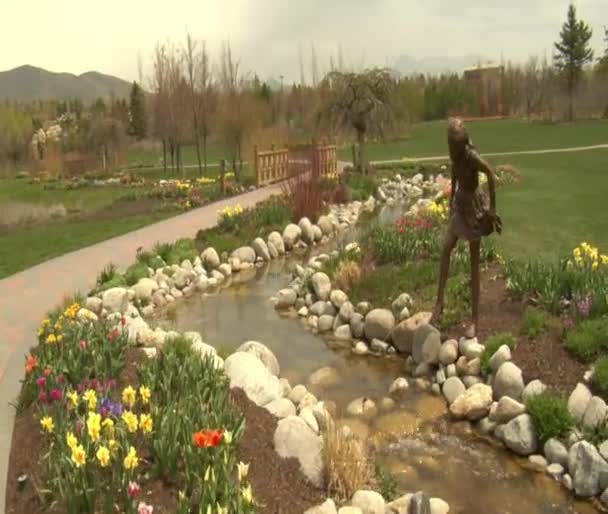 Crane shot up to Tulips to park — Stock Video