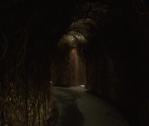 秘密の花園のトンネル — ストック動画