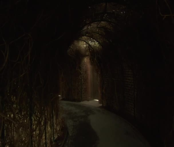 Tunnel nel Giardino segreto — Video Stock