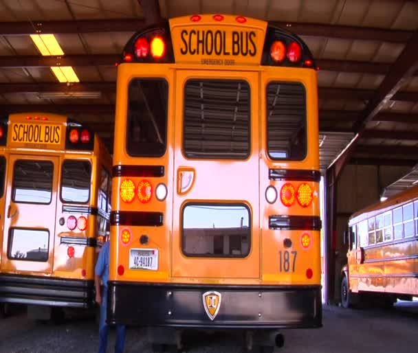 Uomo camminare dietro scuolabus — Video Stock