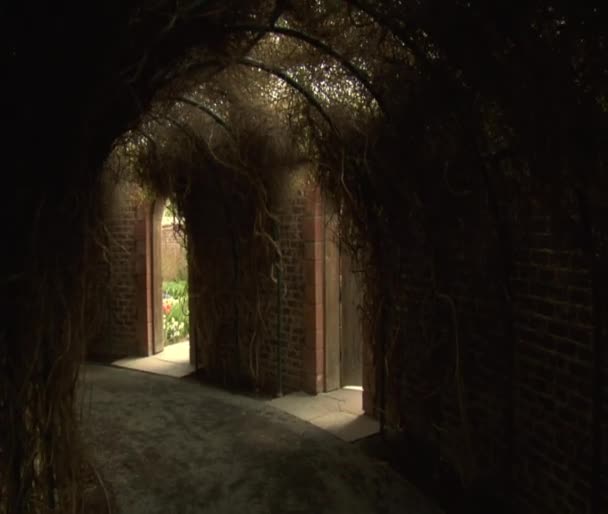 Tunnel im geheimen Garten — Stockvideo