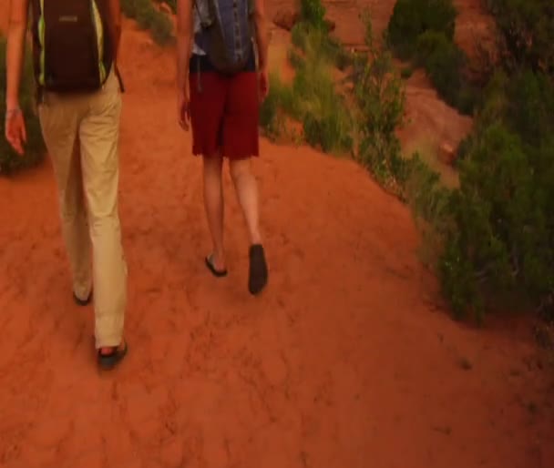 Two female hikers — Stock Video