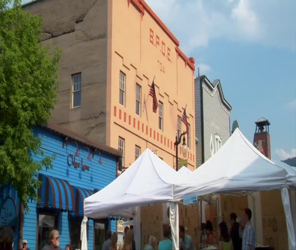 People browse arts Festival — Stock Video