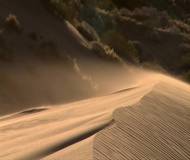 Ondas de arena fluyen en la parte superior de la duna de arena — Vídeos de Stock