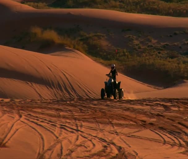 2 atv jezdci na červený písek — Stock video