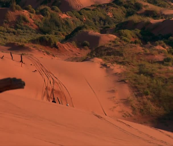 赤い砂丘のバギーのライダー — ストック動画