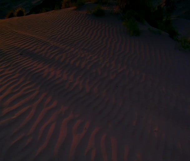 Se penche des dunes de sable au coucher de soleil magnifique désert 