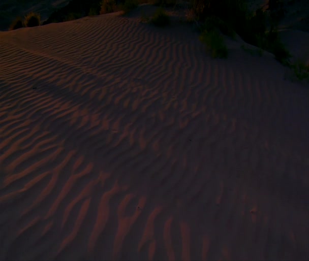 Vippar upp från sanddynernas till underbara öknen solnedgång — Stockvideo