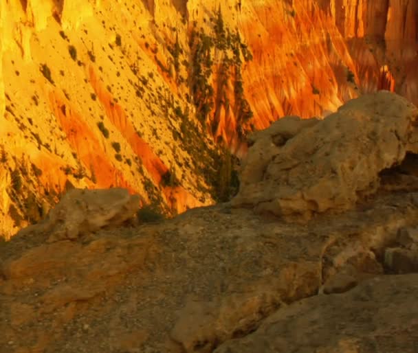 Couple au parc national de Bryce Canyon — Video