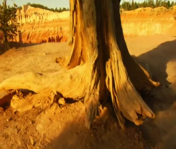 Çifte bryce canyon Milli Parkı — Stok video