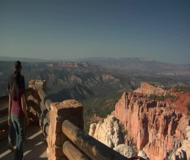 縁のカップル歩く見落とすブライス キャニオン国立公園 — ストック動画