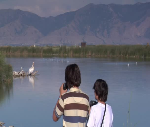 Les garçons regardent les oiseaux avec des jumelles — Video