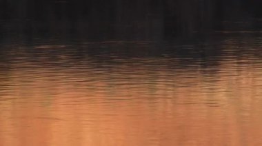 Gün batımında su ripples