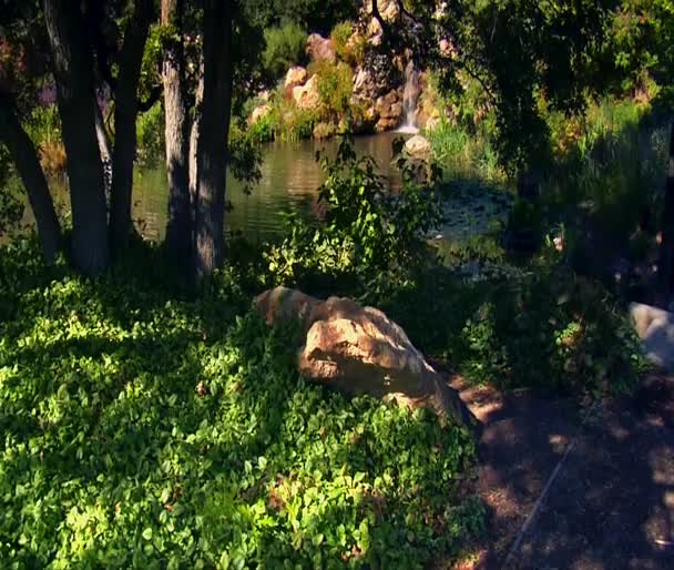 池塘里的树木和瀑布 — 图库视频影像