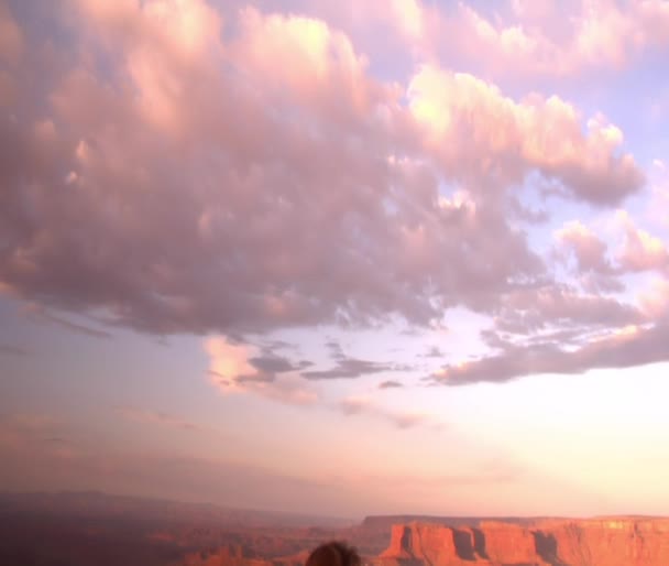Kvinna som du beundrar solnedgången vid död häst — Stockvideo
