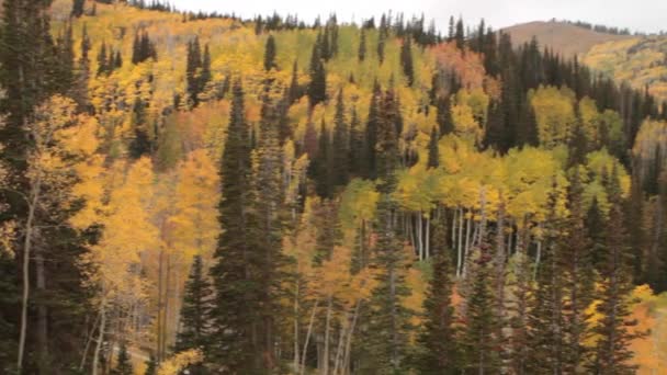 Montagnes avec grand hôtel de villégiature 