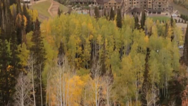 秋の森の大型ホテル — ストック動画