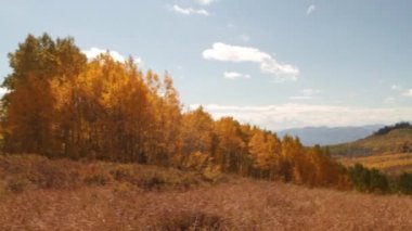 Sarı aspens ile dağ çayır