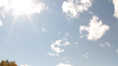 kavak ağaçları ve çimenli alan