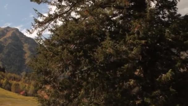 Chairlift berg avslöjar — Stockvideo