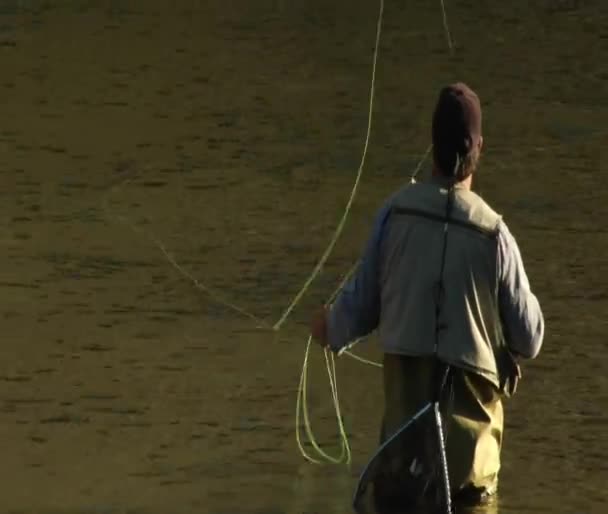 Fly fisherman lets line drift — Stock Video