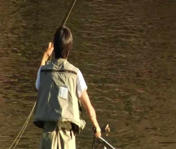 Jonge man vliegvissen vangsten forel — Stockvideo