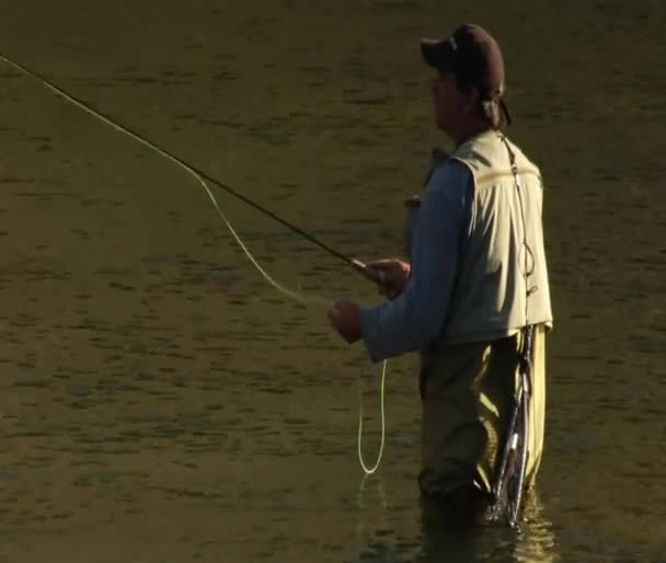 Man flyfishing in hip steltlopers in kalm water — Stockvideo