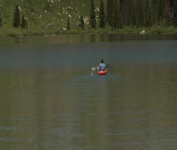 Hombre en kayaks en el lago tranquilo — Vídeos de Stock